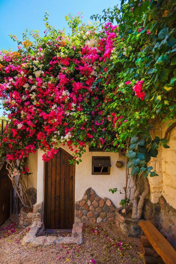 Beit Theresa Dahab Luaran gambar